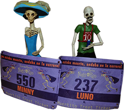 packet_pickup_freeda